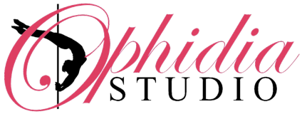 customLogo